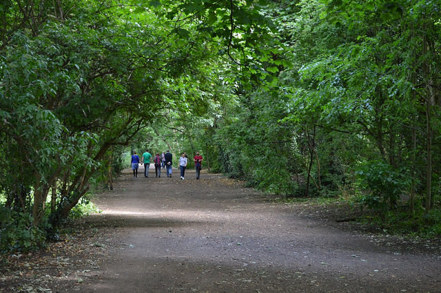 Members of the Haringey Wingspan Birdwatching Club on a morning walk along a wooded path in North London